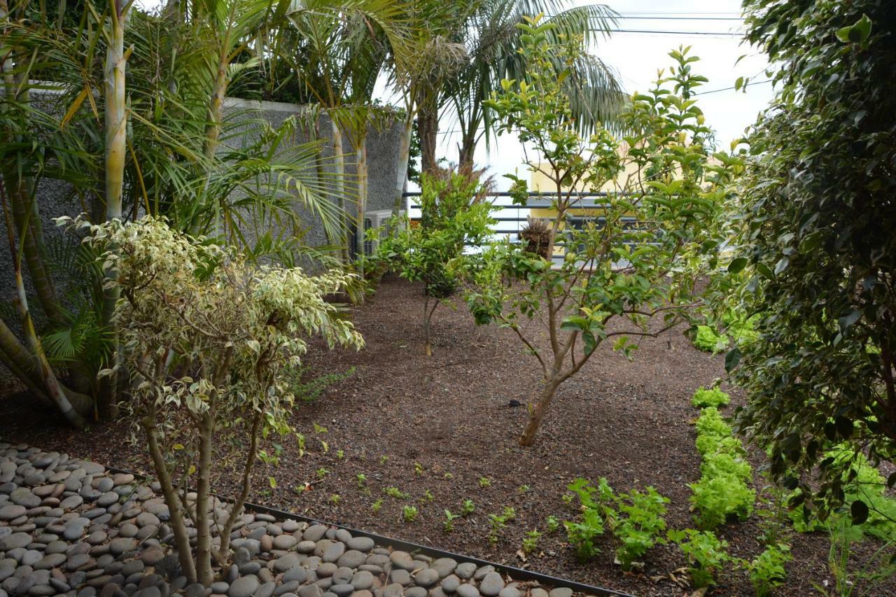 Sea And Sun 4 You - Choupana House Villa Funchal  Exterior foto