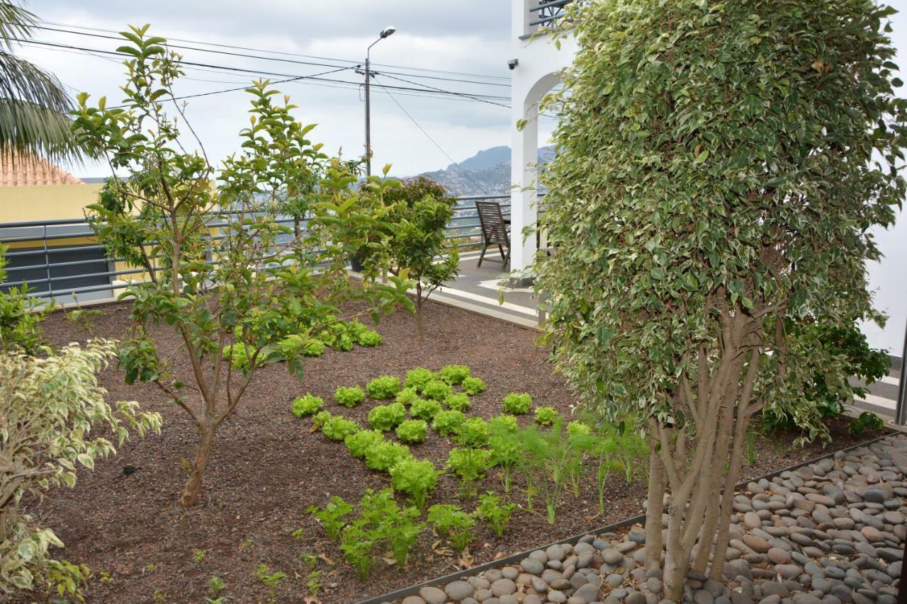 Sea And Sun 4 You - Choupana House Villa Funchal  Exterior foto